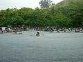 Fenomena ini adalah suatu pesta perayaan bagi penduduk di pulau-pulau sekeliling dan bagi ikan Lumba-Lumba.