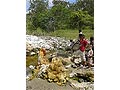 Hot springs in Alor - Tuti